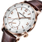 PAGANI DESIGN PD-1790 Men's Watches Chronograph Stainless Steel 42mm Sports Wrist Watch for Men