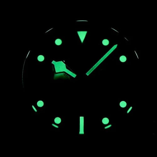 PAGANI DESIGN MEN'S WATCH CHRONOGRAPH STAINLESS STEEL VK64 QUARTZ WHITE DAIL WATCH SKU-1718